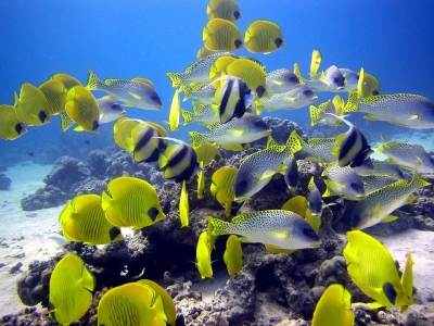 Bezienswaardigheden van Hurghada